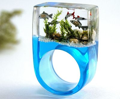 Miniature Aquarium Ring