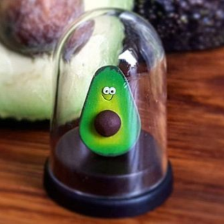Pet Avocado