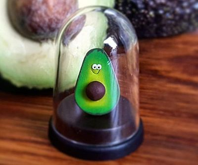 Pet Avocado