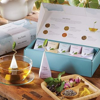 Green Tea Wellness Sampler