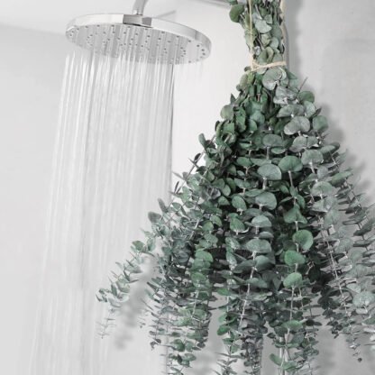 Eucalyptus Shower Bunch