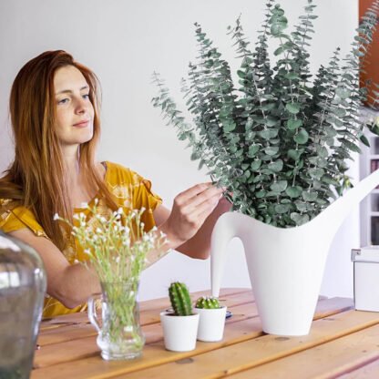 Eucalyptus Shower Bunch - Image 3