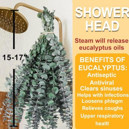 Eucalyptus Shower Bunch - Image 4