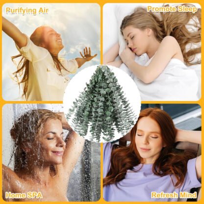 Eucalyptus Shower Bunch - Image 5