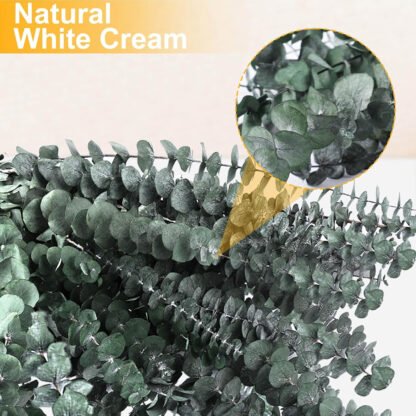 Eucalyptus Shower Bunch - Image 6