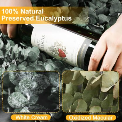 Eucalyptus Shower Bunch - Image 7