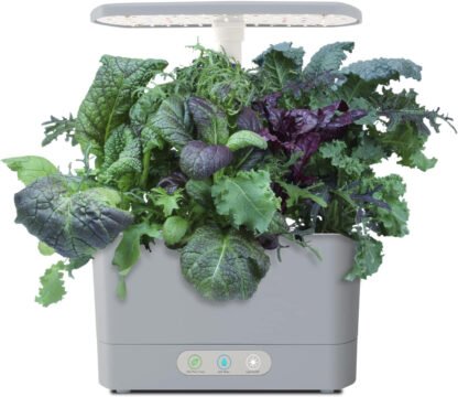Aerogarden Indoor Herb Grower - Image 3