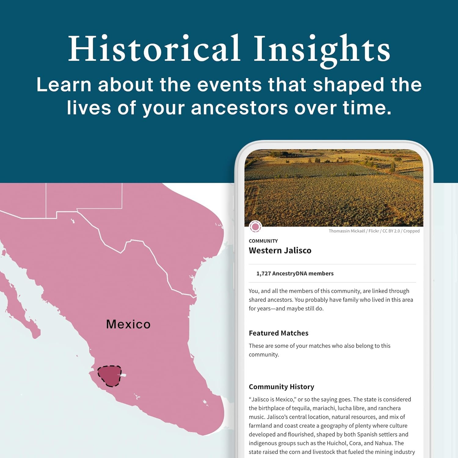 Ancestry DNA Kit - Image 4