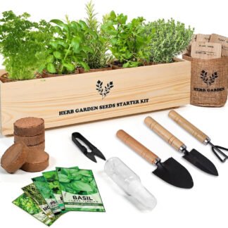 Rustic Indoor Herb Garden Starter Set