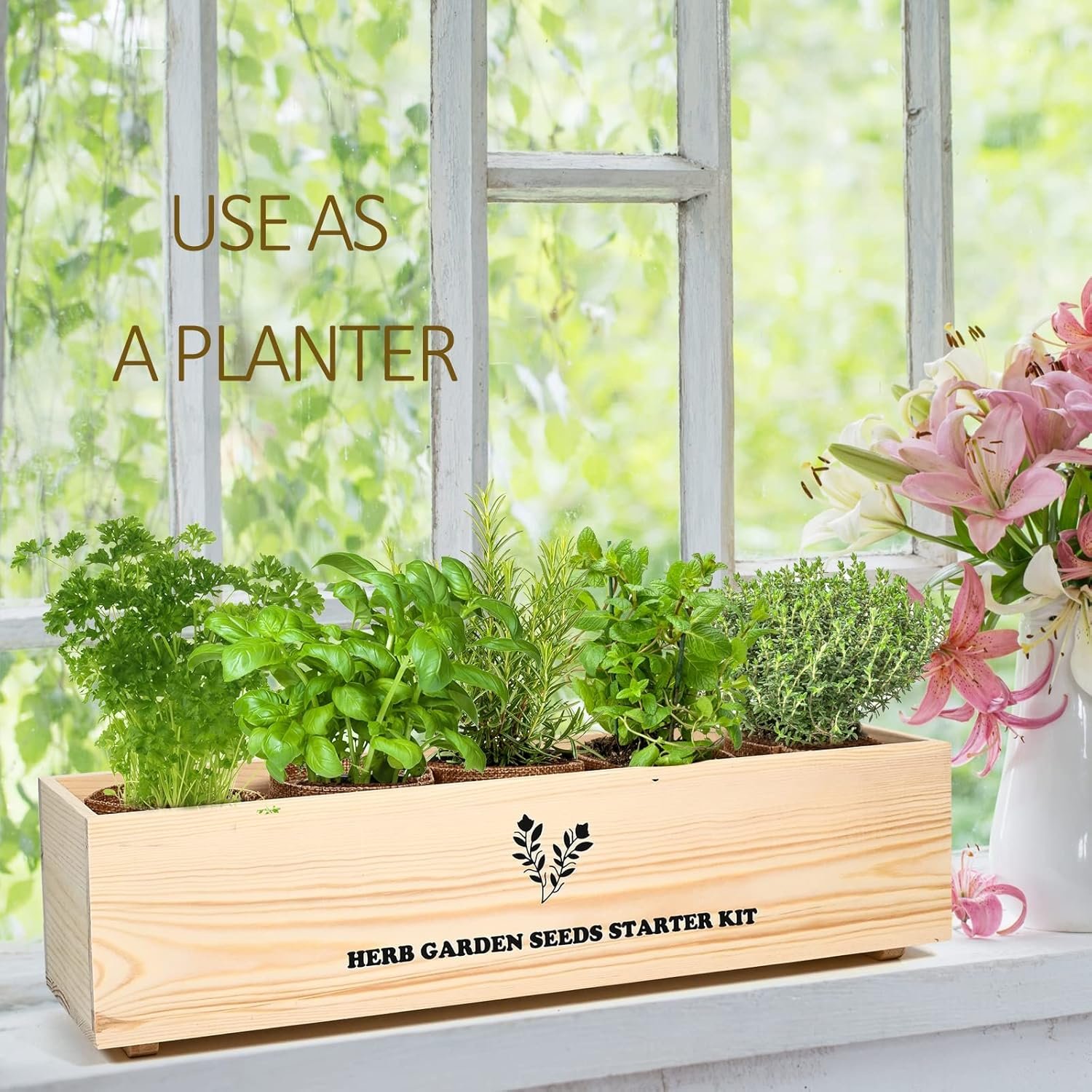 Rustic Indoor Herb Garden Starter Set - Image 3