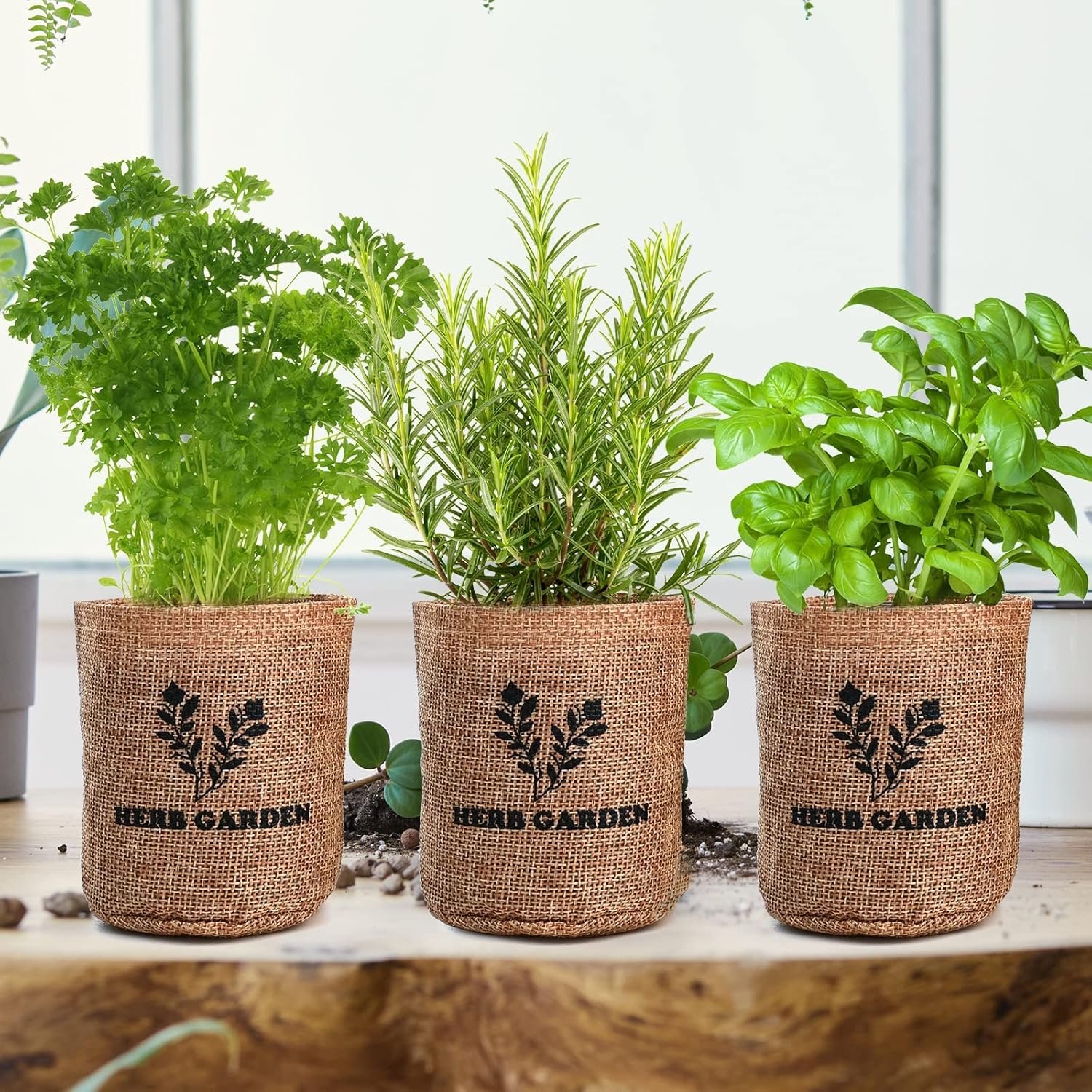 Rustic Indoor Herb Garden Starter Set - Image 6