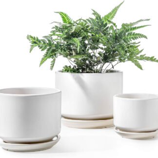 Planter Set