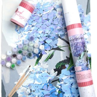 Flower Paint By Numbers Kit