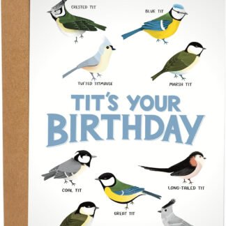 T*ts for Your Birthday Funny Bird-thday Card