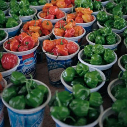 Custom Hot Sauce Selection - Image 4