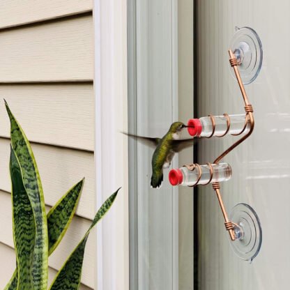 Hummingbird Window Feeder - Image 2