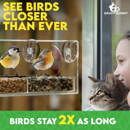 Clear Window Bird Feeder - Image 3