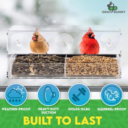 Clear Window Bird Feeder - Image 4