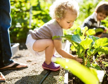 Gardener’s Tool Set Starter Kit - Image 8