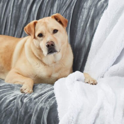 Sherpa Throw Blanket - Image 4