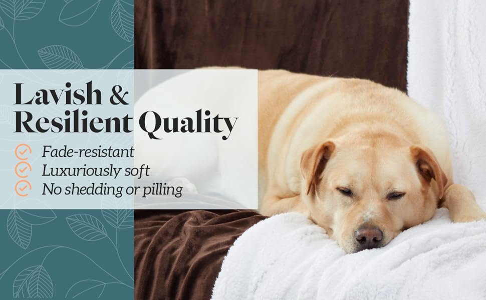 lavish and resilient quality