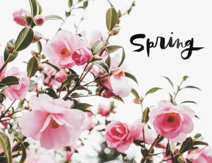 The 52 Lists Project: A Year of Weekly Journaling Inspiration - Image 7