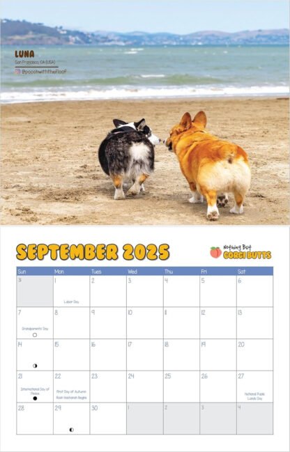 Corgi Butts Calendar - Image 5