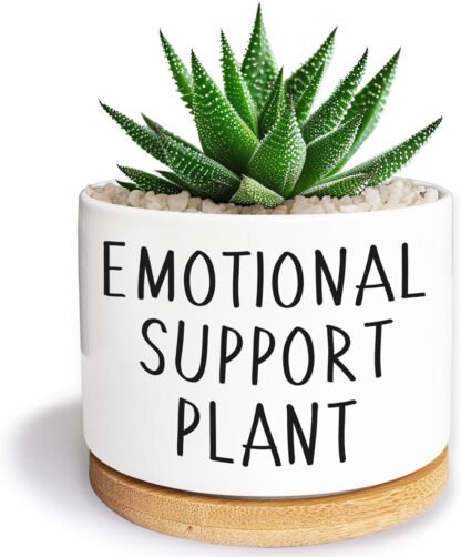 Emotional Support Plant Pot