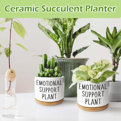 Emotional Support Plant Pot - Image 2