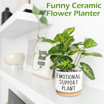 Emotional Support Plant Pot - Image 4