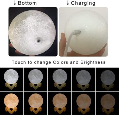 Moon Light - Image 9