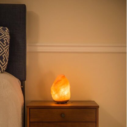 Himalayan Salt Lamp - Image 5