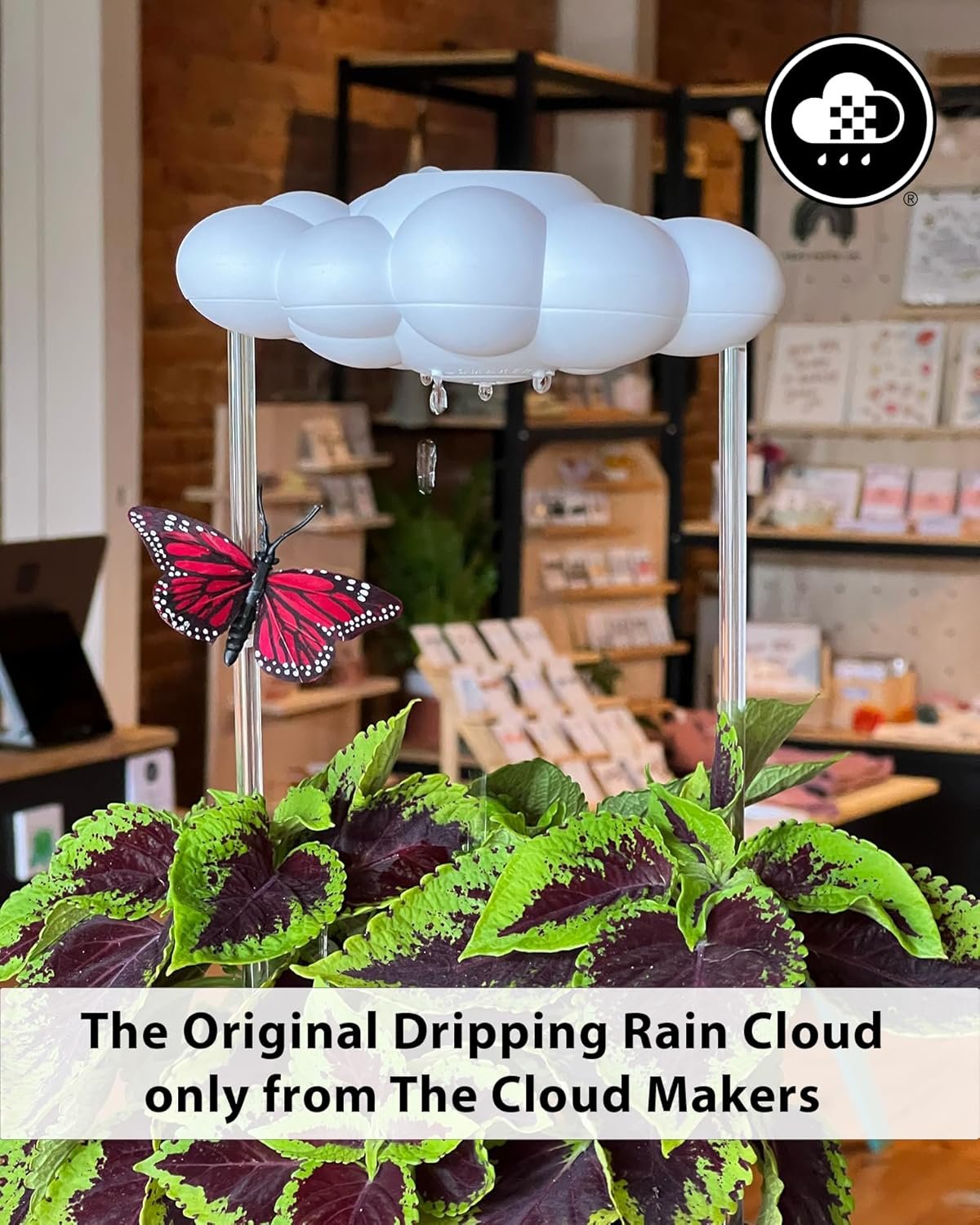 Rain Drop Plant Watering Cloud - Image 9