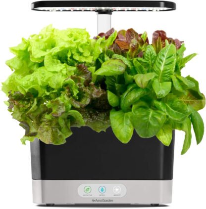 Indoor Herb Garden - Image 3