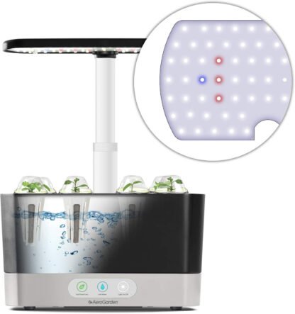 Indoor Herb Garden - Image 4