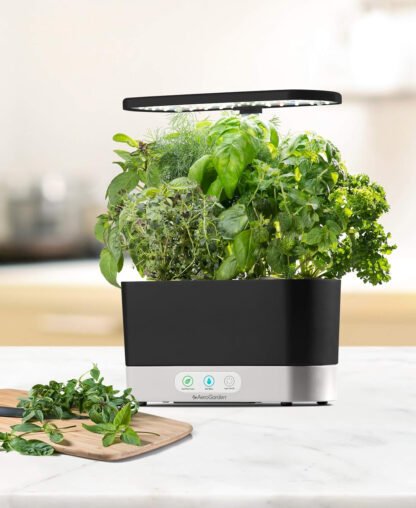 Indoor Herb Garden - Image 6