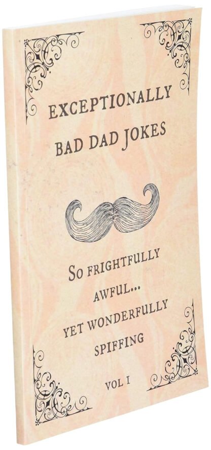 Exceptionally Bad Dad Jokes - Image 3