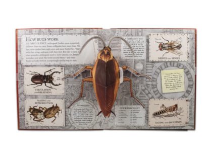 Bugs Pop-up Book - Image 3