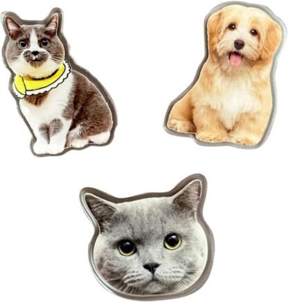 Personalized Pet Magnets