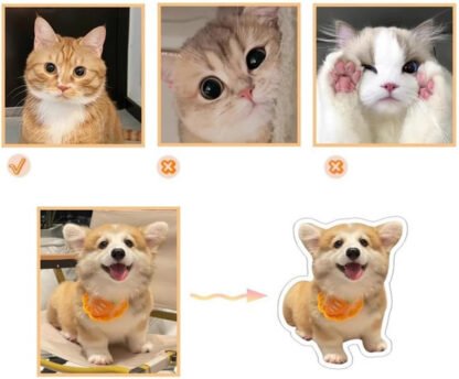Personalized Pet Magnets - Image 4