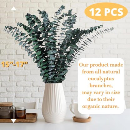 Shower Aromatherapy Eucalyptus Bunch - Image 2