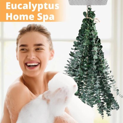 Shower Aromatherapy Eucalyptus Bunch - Image 3