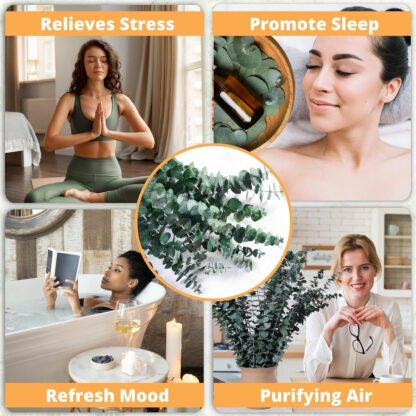 Shower Aromatherapy Eucalyptus Bunch - Image 4