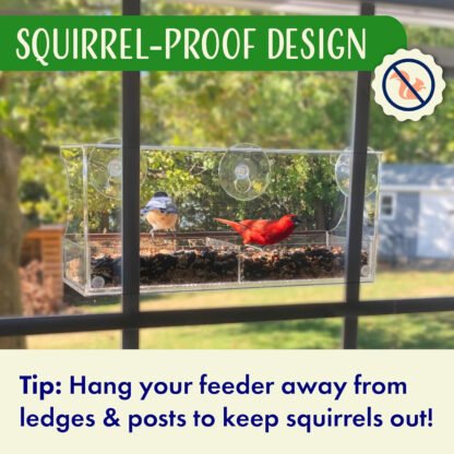 Window Bird Feeder - Image 3