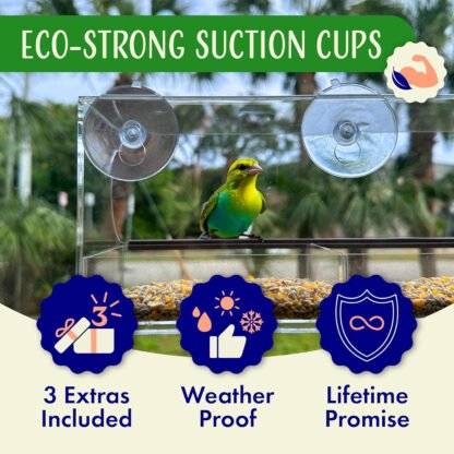 Window Bird Feeder - Image 5
