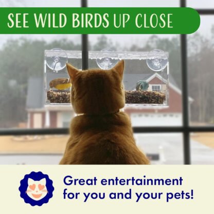 Window Bird Feeder - Image 6