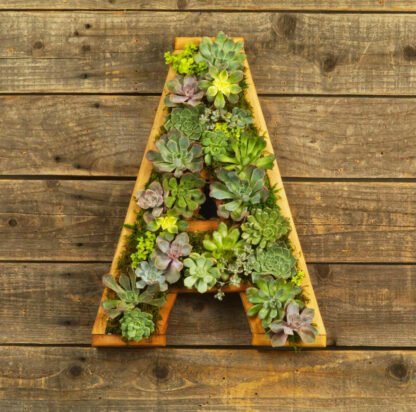 DIY Succulent Planter Letter