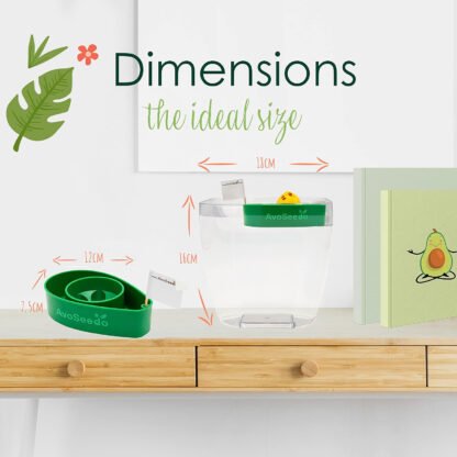 Grow Your Own Avocado Tree Kit - Image 5