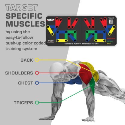 Color Coordinated Push Up Training System - Image 3