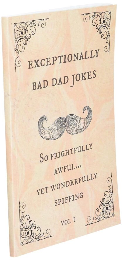Exceptionally Bad Dad Jokes - Image 3